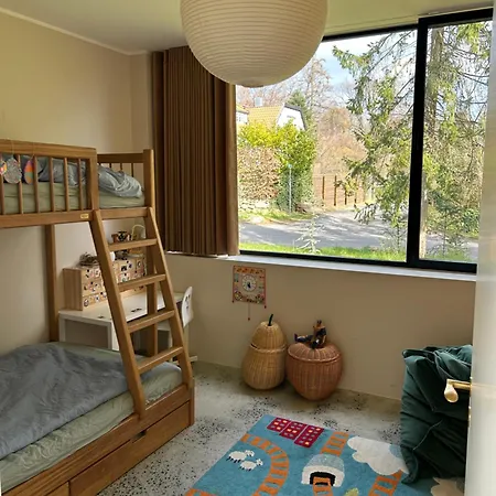 Modern In Forest Area *